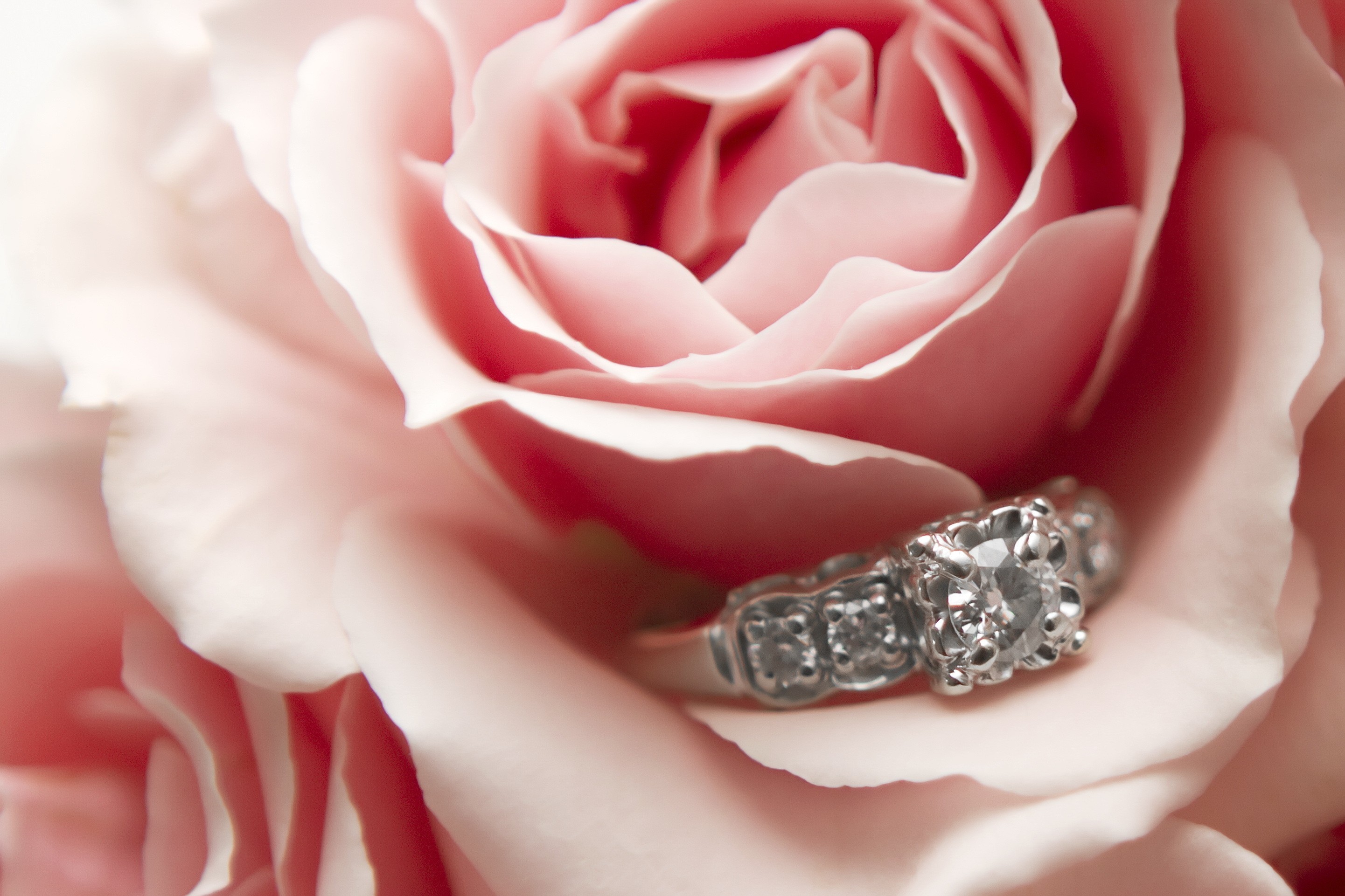 6 ways to give an engagement ring to a girl and what to say