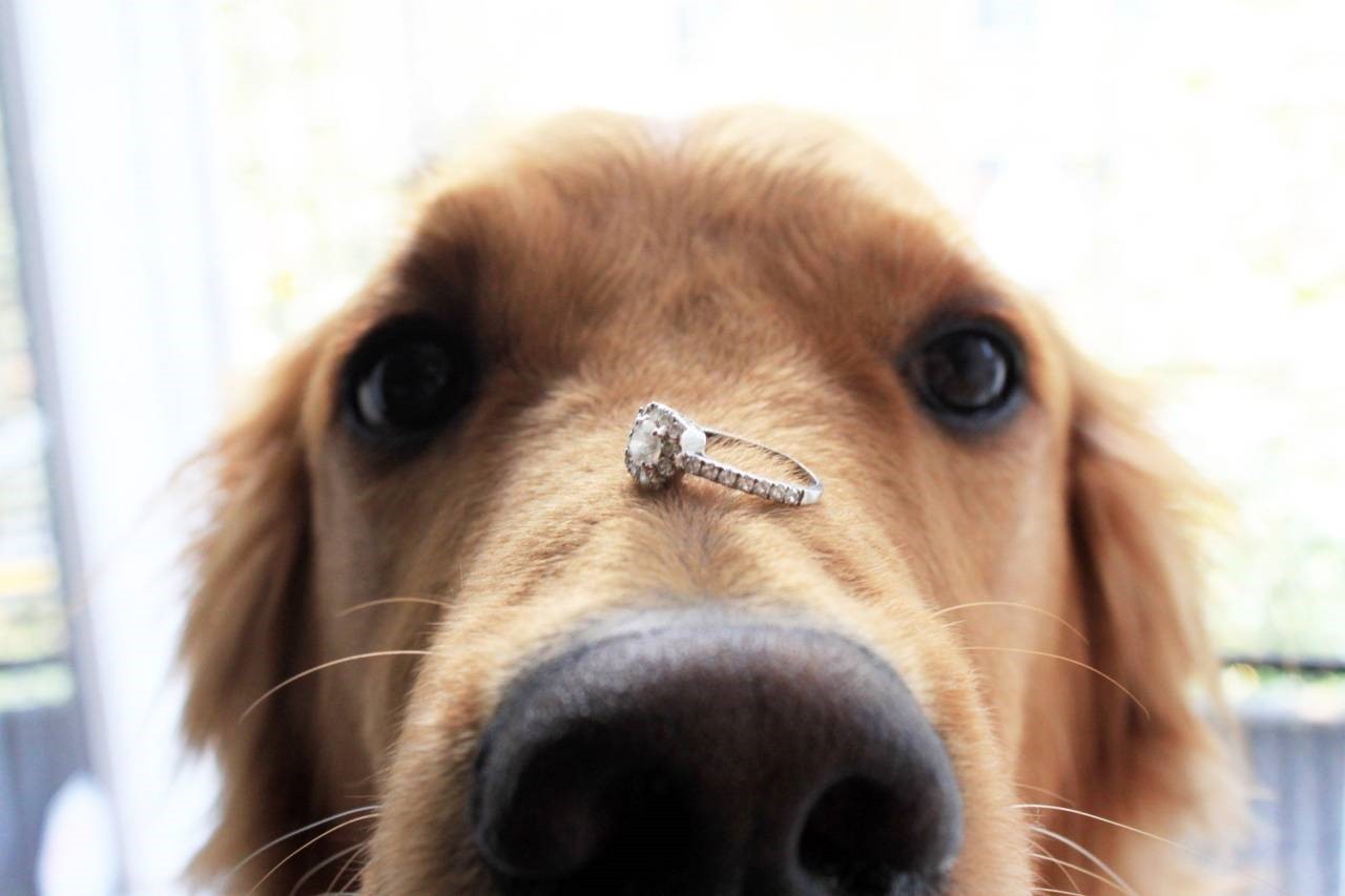 6 ways to give an engagement ring to a girl and what to say